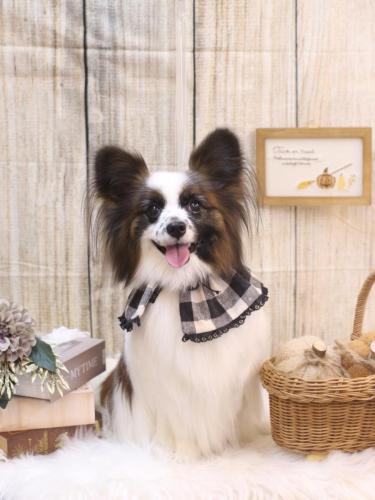 20241014マリーちゃん